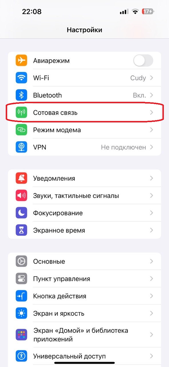 iPhone: раздел Сотовая связь в Настройках