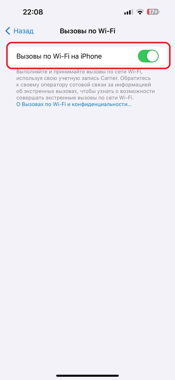 iPhone: включен переключатель Вызовы по Wi-Fi на iPhone
